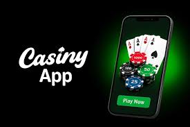 Discover Thrills and Rewards at Casiny Casino