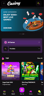 Discover Thrills and Rewards at Casiny Casino